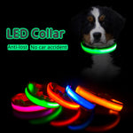 USB LED Glowing & Satefy Dog Collar - Anti-Lost/Avoid Car Accident