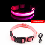USB LED Glowing & Satefy Dog Collar - Anti-Lost/Avoid Car Accident